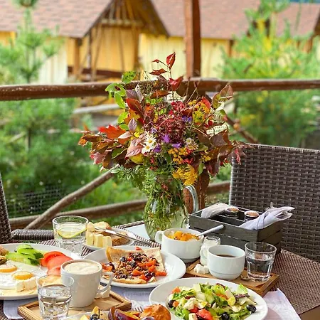 Osonnya Karpaty Medical & Skhidnytsia