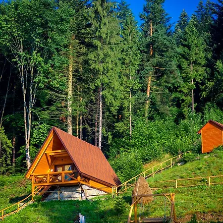 Osonnya Karpaty Medical & Hotel