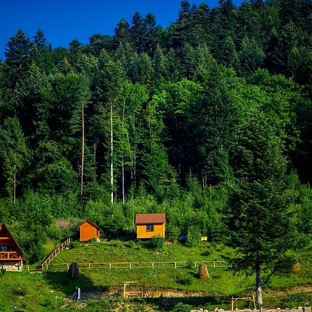 Osonnya Karpaty Medical & 4* Skhidnytsia