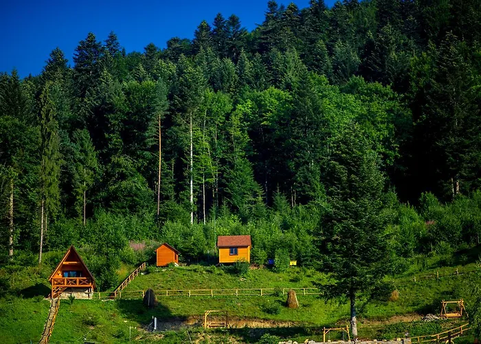 Osonnya Karpaty Medical & 4* Skhidnytsia