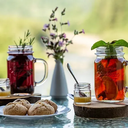 Osonnya Karpaty Medical & Hotel 4*
