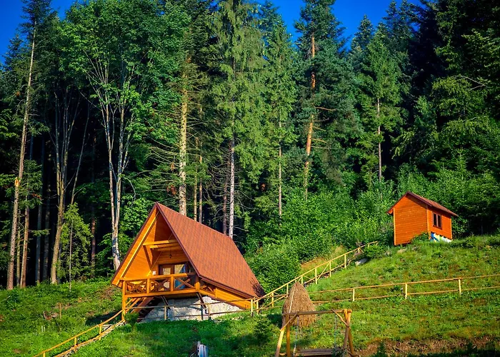Osonnya Karpaty Medical & Otel